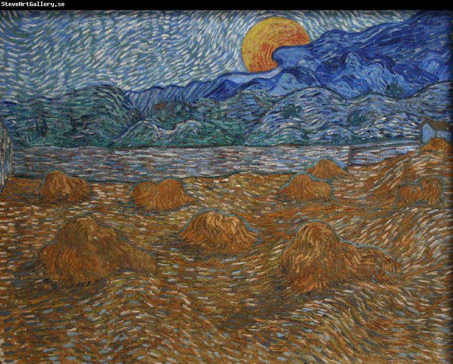 Vincent Van Gogh Wheat Fields